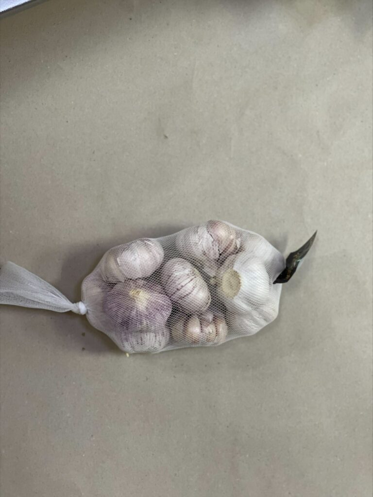Frischer Knoblauch - Garlic