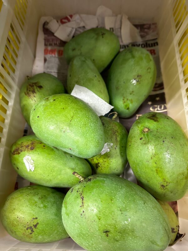 Fresh Green Mango - Frische grüne Mango