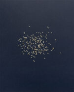 Spicelands Little Millet Copyright Spicelands