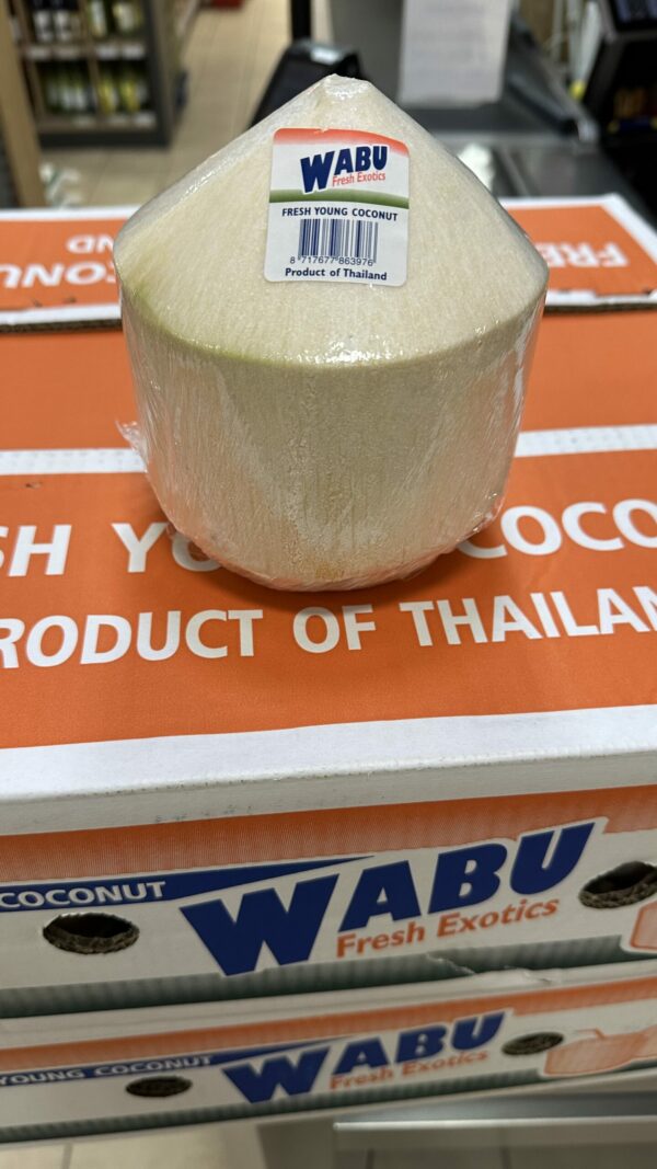 Weisse Junge Kokosnüsse - Young Fresh Coconut