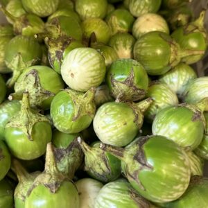 Fresh Thai Auberginen