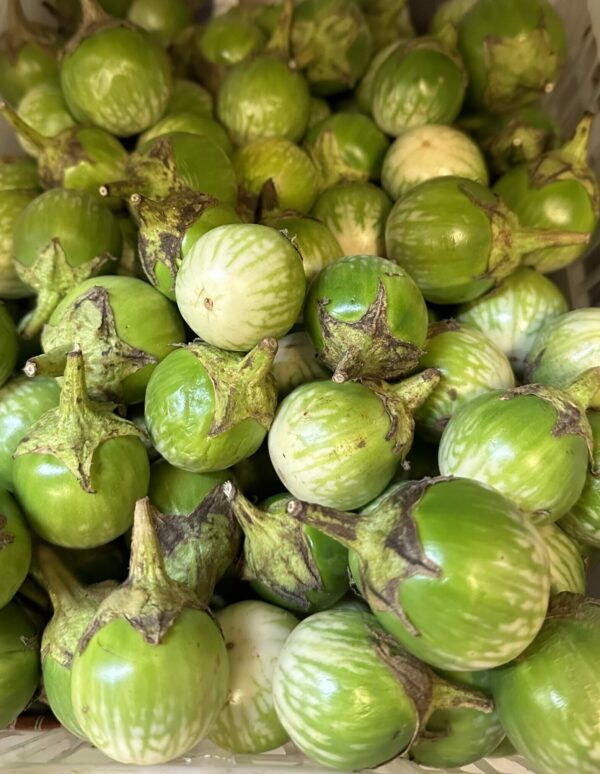 Fresh Thai Auberginen