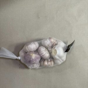 Frischer Knoblauch - Garlic