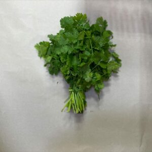 Frischer Koriander - Coriander