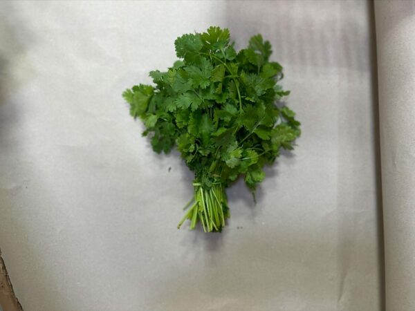Frischer Koriander - Coriander
