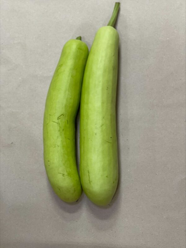 Doodhi - Flaschenkürbis