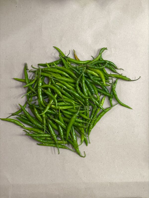 Frische Grüne Chilli - Fresh Green Chilli