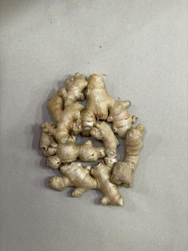 Frischer Ingwer - Ginger