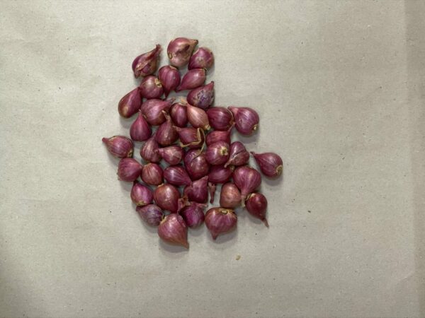 Red Small Onion