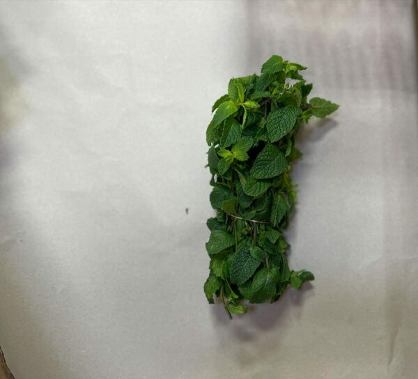 Frische Minze Blätter - Mint