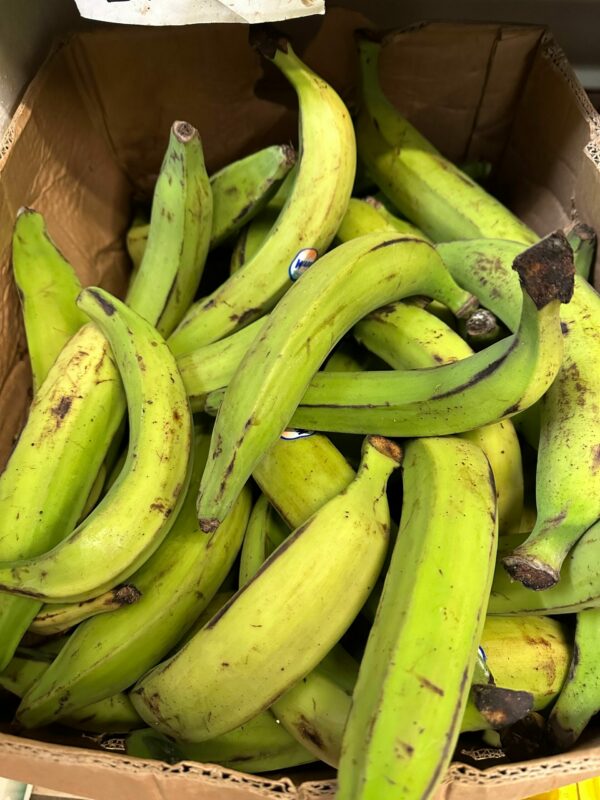 Frische Grüne Kochbananen Platanos 1kg